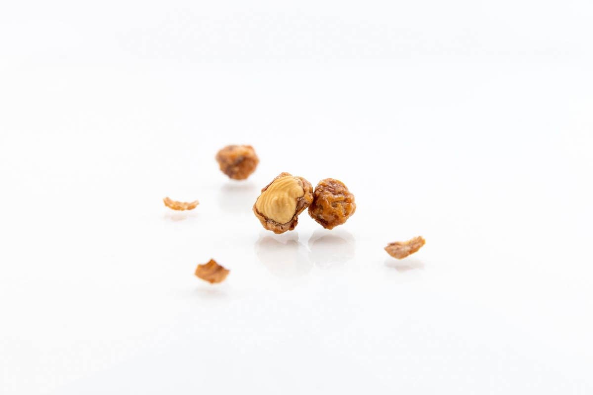 Hazelnut PRALINES
